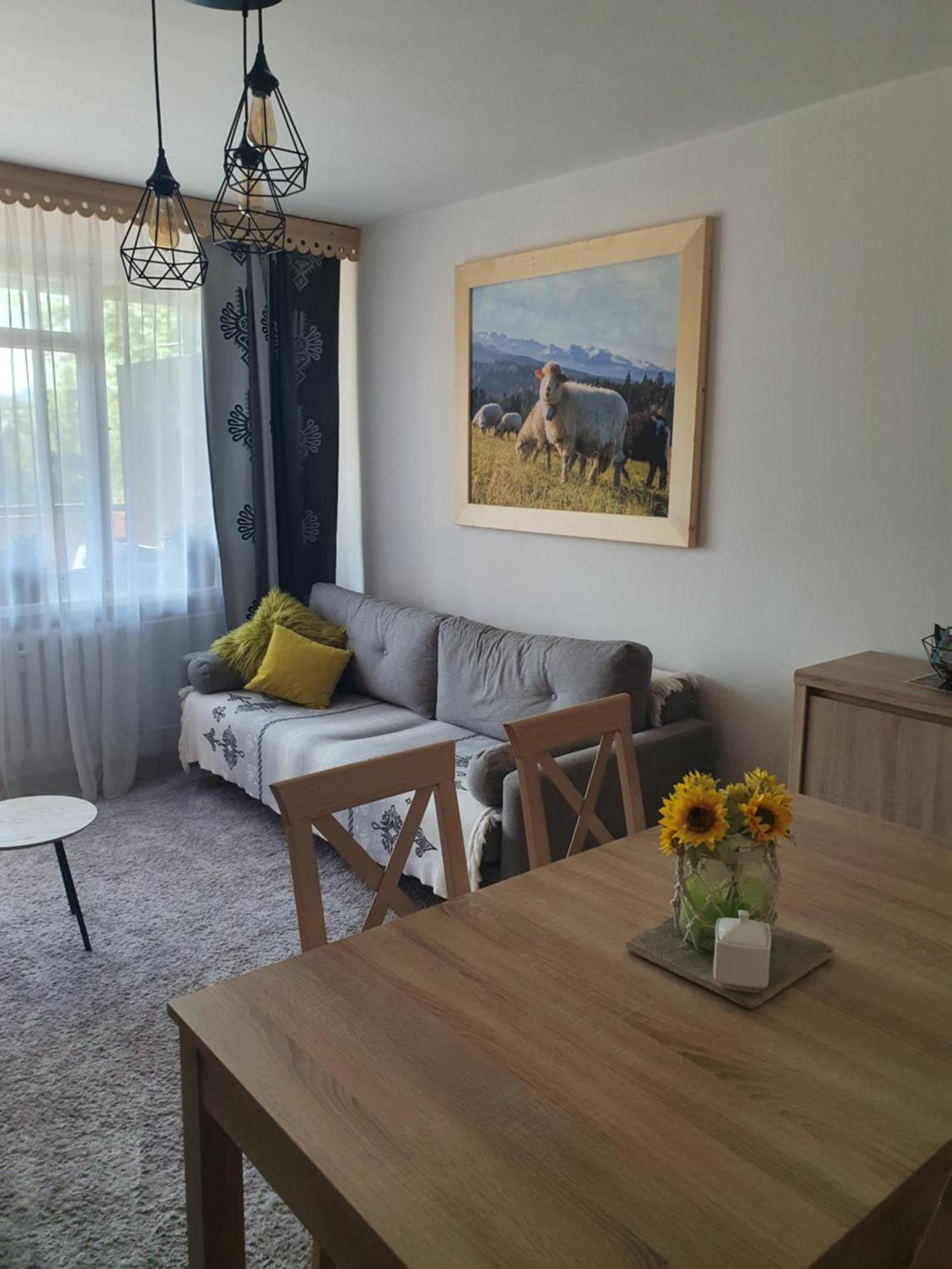 Apartament Regionalny Centrum Zakopane Pokoj fotografie